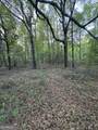 1045 Horseshoe Road - Photo 3