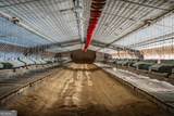 406 Abc Farm Road - Photo 26