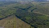 949 Marion Ripley Road - Photo 12