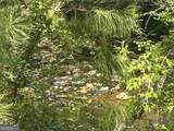2633 Georgia Hwy 120 (485.53 Acres) - Photo 21