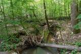 521 Kline Road - Photo 70