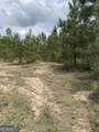 0 Jordan Road - Photo 12