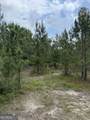 0 Jordan Road - Photo 22