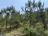 0 Jordan Road - Photo 5