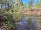 1140 Scales Creek Road - Photo 39
