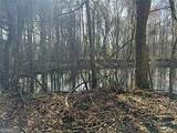 2949 Rosebud Road - Photo 20