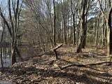 2949 Rosebud Road - Photo 22