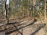 2949 Rosebud Road - Photo 24