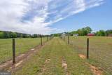 600 Piney Grove Road - Photo 54