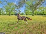712 Rw Jones Road - Photo 63