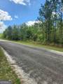 0 Janelle's River Drive - Photo 22