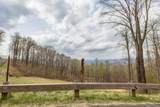 0 Rocky Knob Estates - Photo 18