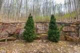 0 Rocky Knob Estates - Photo 9