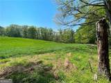 733 Pleasant Union Road - Photo 13