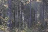 0 County Line Road - Photo 6