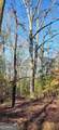 0 White Owl Drive - Photo 5