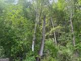 0 Lower Lumpkin Road - Photo 17