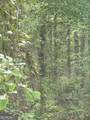 0 Lower Lumpkin Road - Photo 22