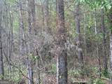0 Lower Lumpkin Road - Photo 6