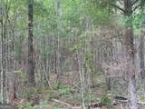 0 Lower Lumpkin Road - Photo 7