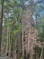 0 Lower Lumpkin Road - Photo 8