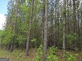 0 Davis Lake Road - Photo 11