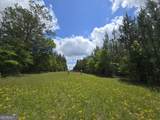 0 Davis Lake Road - Photo 2