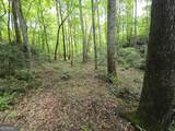 0 Davis Lake Road - Photo 21