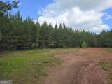 0 Davis Lake Road - Photo 6