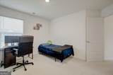 3236 Papyrus Palm Road - Photo 45
