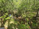 LOT 19 Smith Road - Photo 7