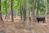 290 Weldon Road - Photo 91