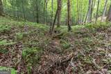 LOT 17 Lower Gap Road - Photo 10