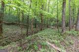 LOT 17 Lower Gap Road - Photo 11