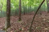 LOT 17 Lower Gap Road - Photo 12