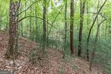 LOT 17 Lower Gap Road - Photo 15