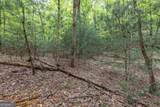 LOT 17 Lower Gap Road - Photo 16