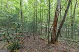 LOT 17 Lower Gap Road - Photo 20