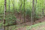 LOT 17 Lower Gap Road - Photo 5