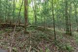 LOT 17 Lower Gap Road - Photo 9