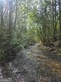 2839 Helton Creek Road - Photo 38