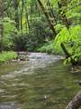 2839 Helton Creek Road - Photo 40