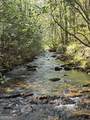 2839 Helton Creek Road - Photo 44