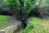 1585 Mt. Carmel Road - Photo 33
