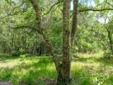 760 Memphis Road - Photo 17