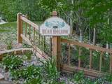 550 My Mountain Road - Photo 56
