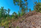 LOT 50 Jakes Landing Way - Photo 30