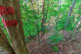LOT 50 Jakes Landing Way - Photo 35