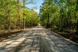 0 Kermit Road - Photo 13