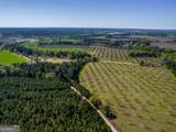 0 Kermit Road - Photo 14